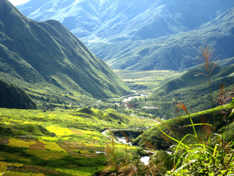 Cảnh sắc Sa Pa tháng 4 dưới chân đèo Ô Quy Hồ