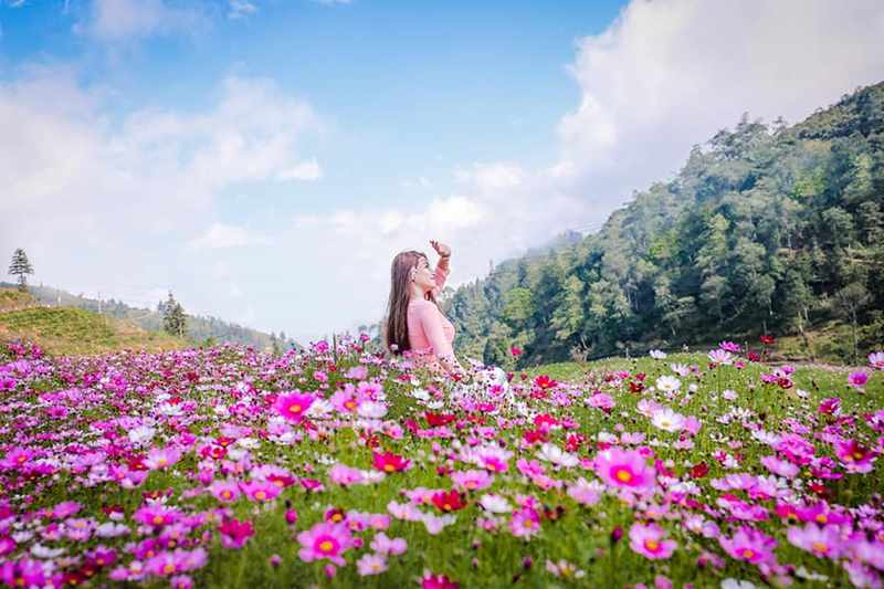 Du khách chụp ảnh tại vườn hoa cánh bướm trong chuyến du lịch Sa Pa tháng 6