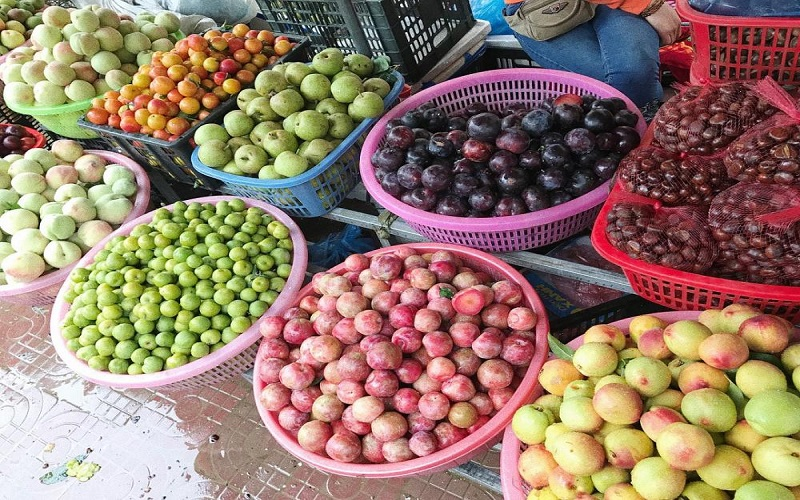 Ngoài lê, tháng 6 Sa Pa là thời điểm nhiều loại quả hấp dẫn vào mùa