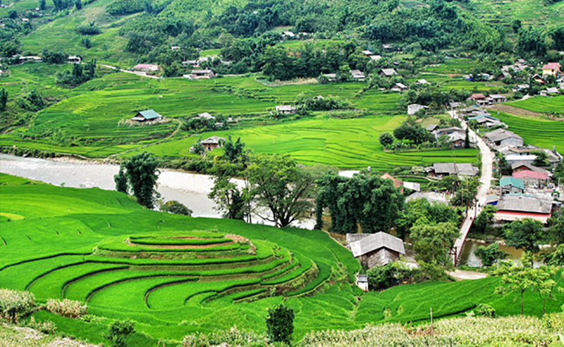 Thung lũng Mường Hoa mỗi độ tháng 6
