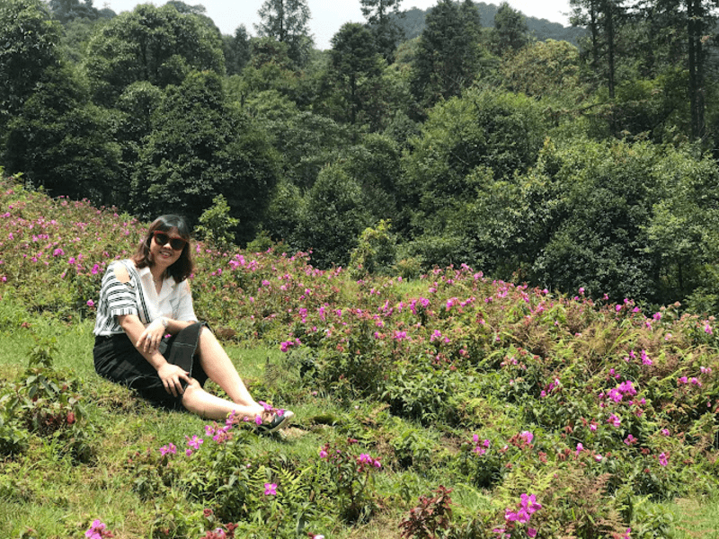 Du khách chụp ảnh cùng thảm hoa rừng tím biếc