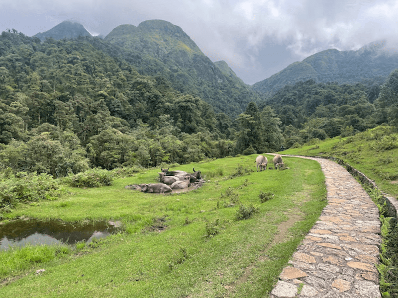 Những bậc đá dẫn đến thác nước Tình Yêu Sa Pa