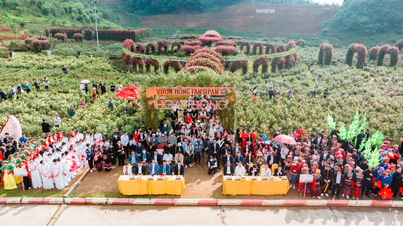 Khung cảnh rộn ràng tại lễ hội hoa hồng