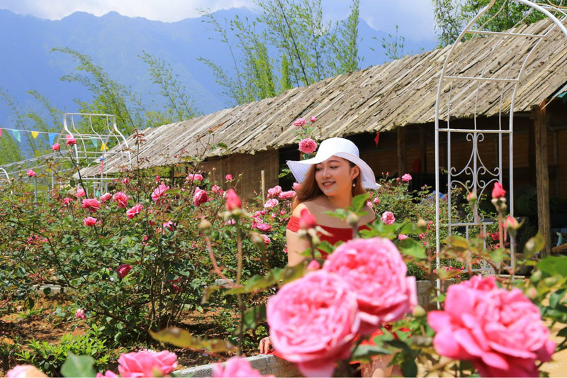 Sac Hong Phan Nhe Nhang Cang Ton Them Su Xinh Dep Cua Phai Nu