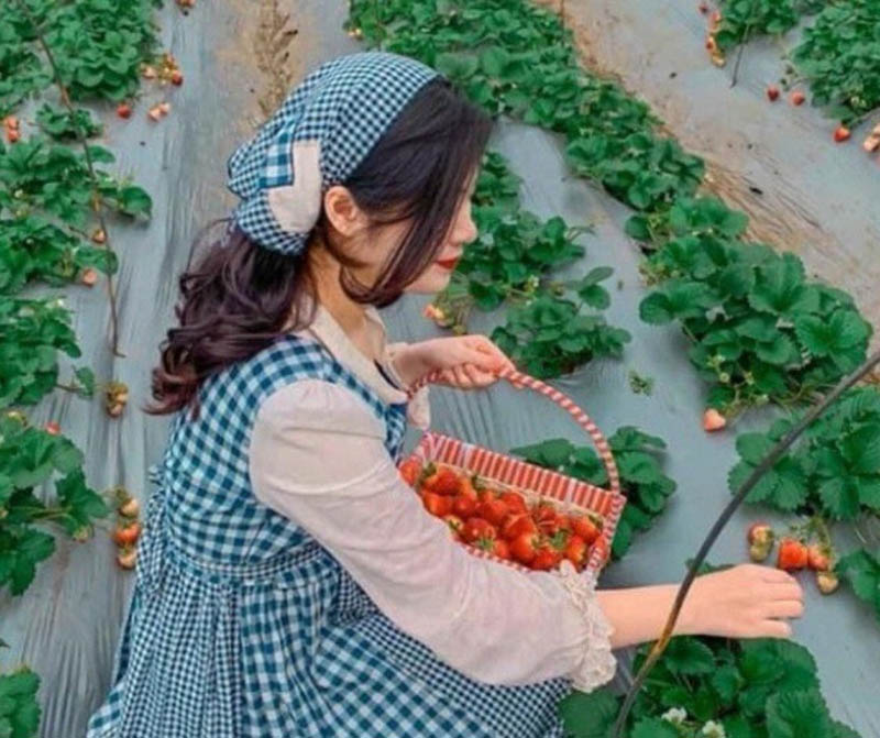 Các bạn nữ nên chọn những bộ đồ nhẹ nhàng với màu sắc nhã nhặn như xanh, trắng... để có những bức ảnh lung linh