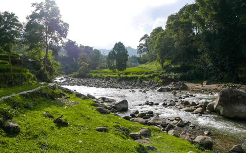 Cảnh sắc thơ mộng hai bên bờ suối