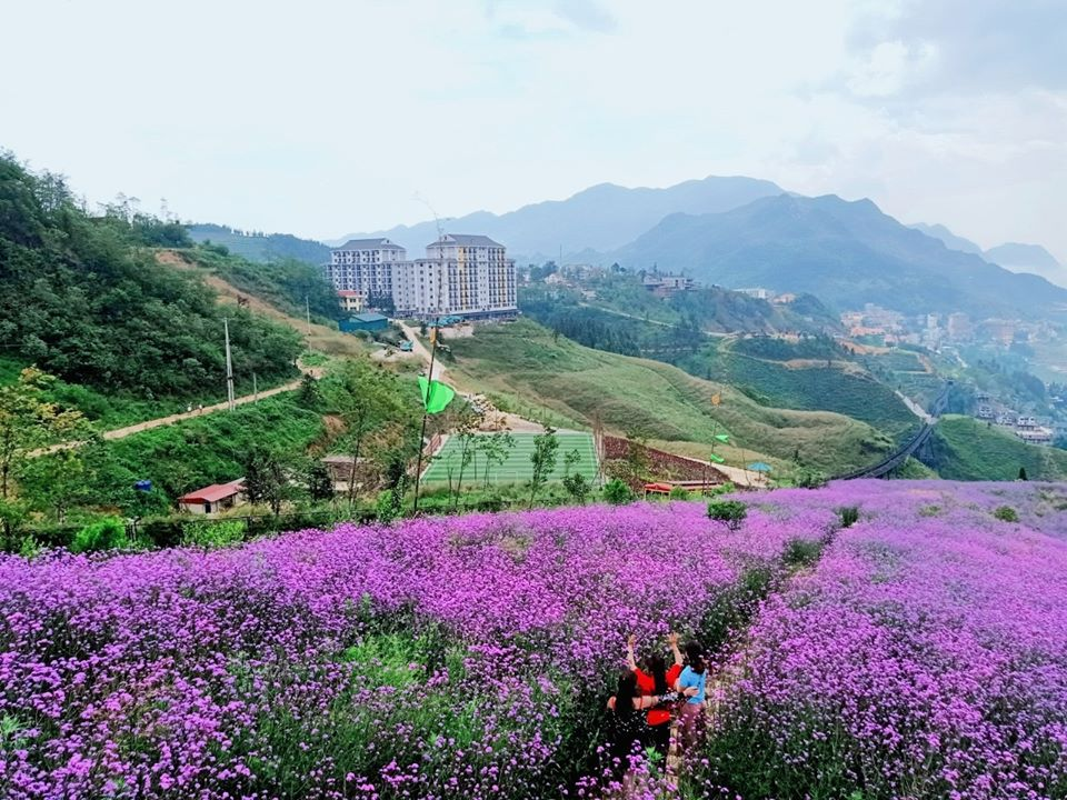 Sapa mùa hè - thiên đường hoa nở khắp núi rừng Tây Bắc