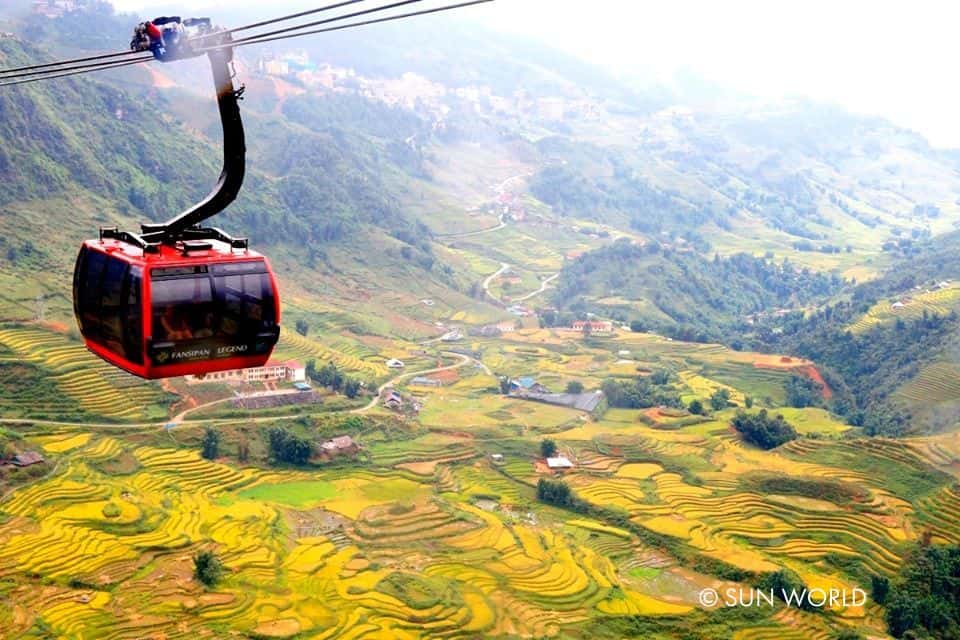 Ngồi trên cáp treo Fansipan chiêm ngưỡng những thửa ruộng bậc thang chín vàng thơ mộng vào mùa thu