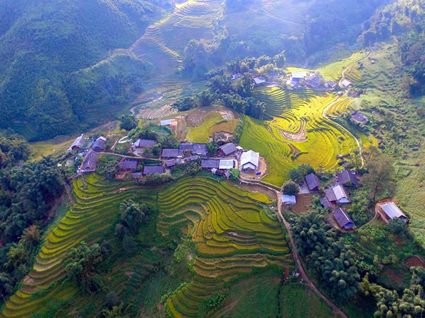 trai-nghiem-tuan-le-mua-lua-chin-tai-sun-world-fansipan-legend-bay-tren-thung-lung-vang-sa-pa-1965-2.jpg