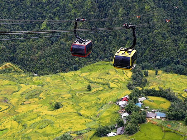 trai-nghiem-tuan-le-mua-lua-chin-tai-sun-world-fansipan-legend-bay-tren-thung-lung-vang-sa-pa-1965-4.jpg