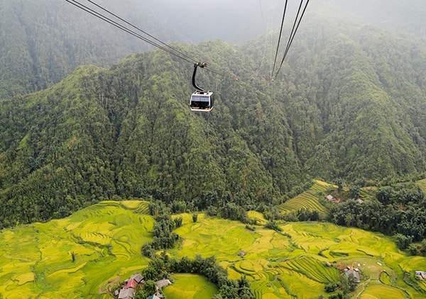 trai-nghiem-tuan-le-mua-lua-chin-tai-sun-world-fansipan-legend-bay-tren-thung-lung-vang-sa-pa-1965-6.jpg