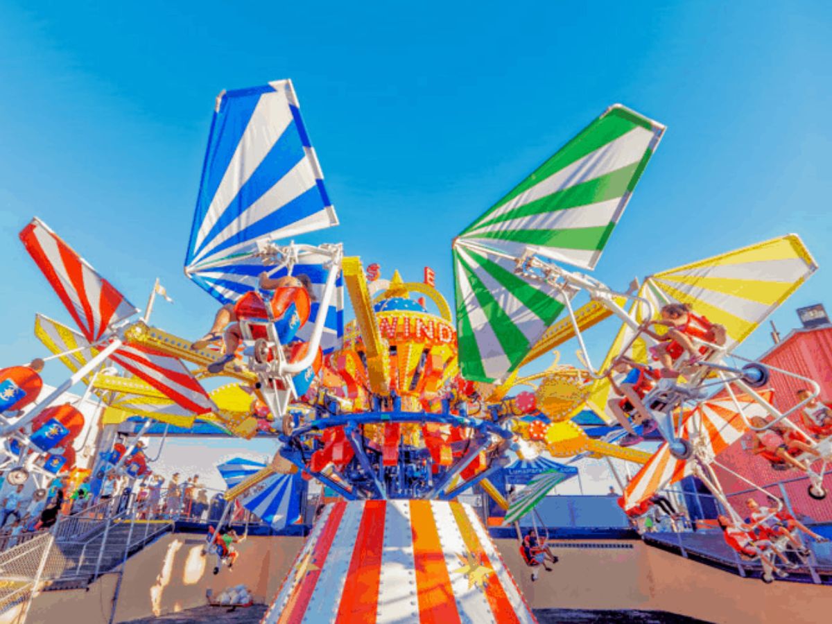 Thằn lằn bay mang đến cảm giác bay bổng