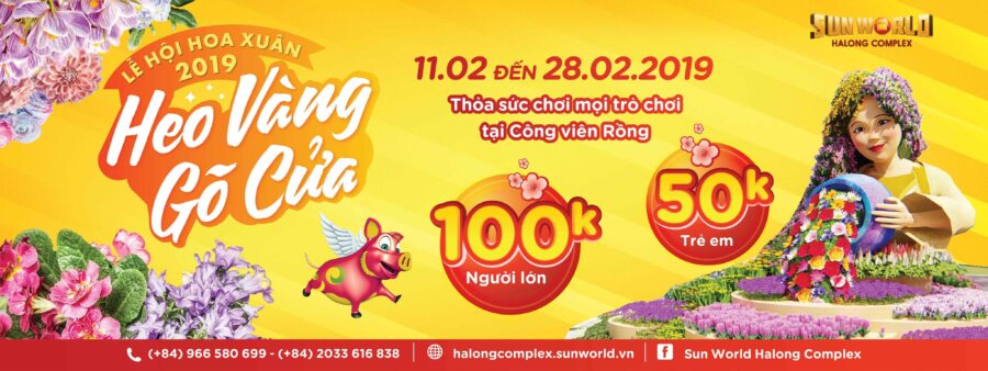 Lễ hội hoa xuân 2019 - Heo Vàng Gõ Cửa
