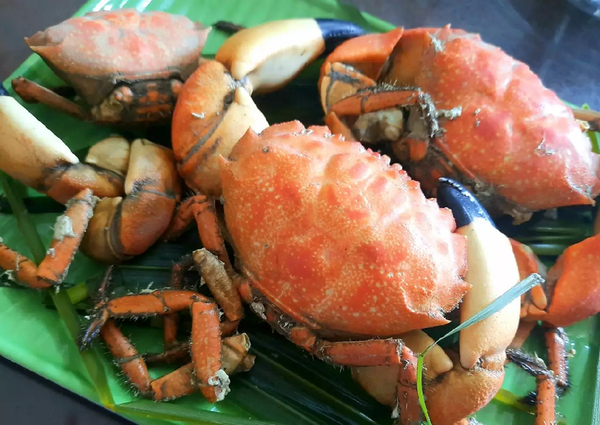 Nên luộc cù kỳ trong 5 phút