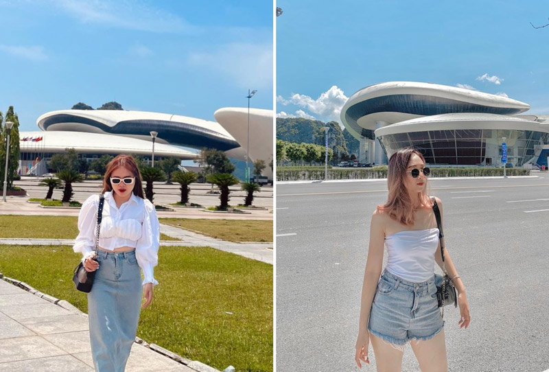 Bạn có thể hạ thấp máy để có bức hình cân đối cùng cung cá heo