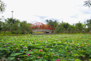 Cnr 5191 (1)