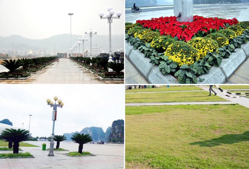 Cảnh quan quảng trường với nhiều cây xanh