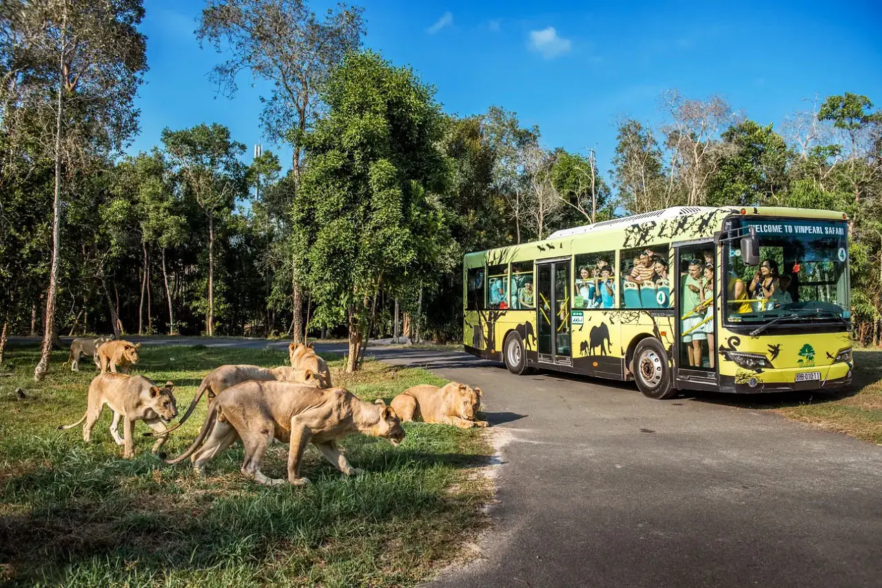 Vinpearl Safari là một trong những điểm vui chơi giải trí nổi tiếng nhất Phú Quốc