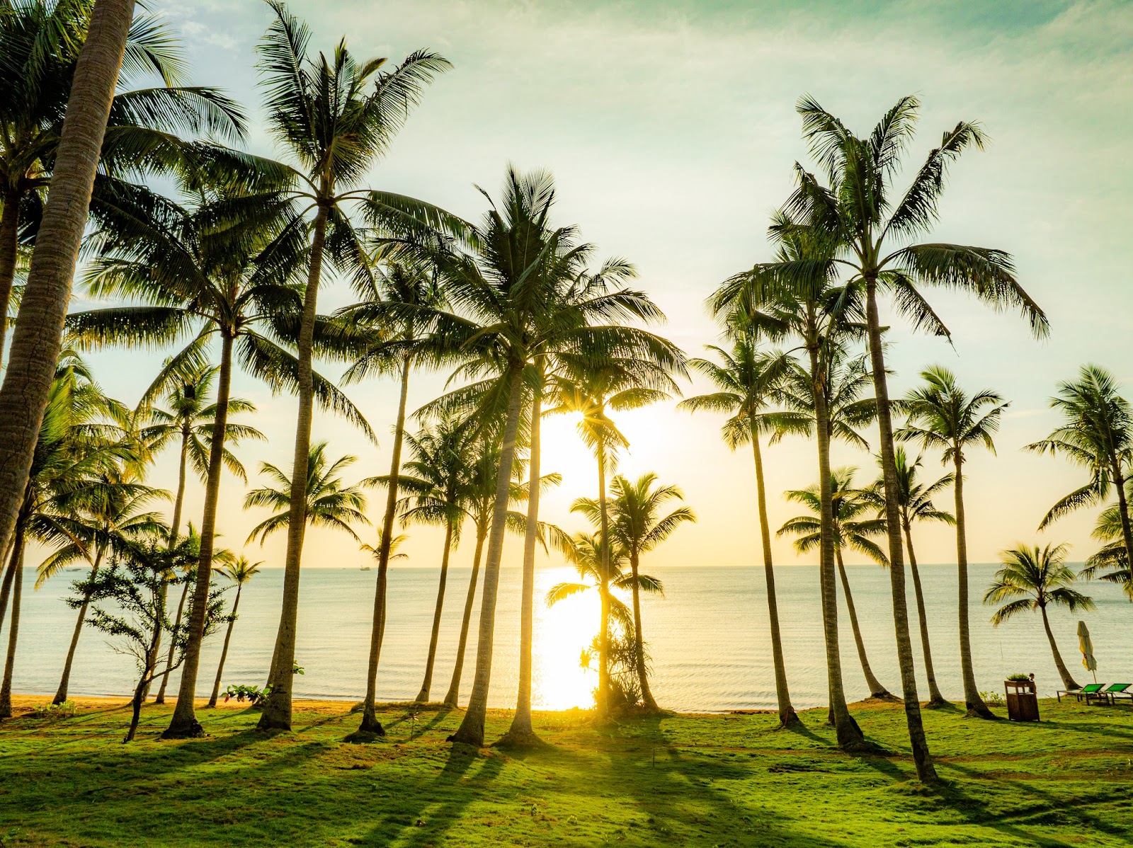 Du khách có thể thư giãn trong hàng dừa rợp bóng tại Bãi Trào