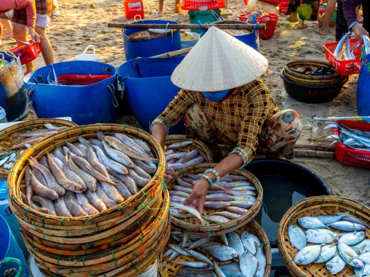 Hòn Thơm là vùng biển trù phú với nguồn hải sản tươi rói được đánh bắt mỗi ngày