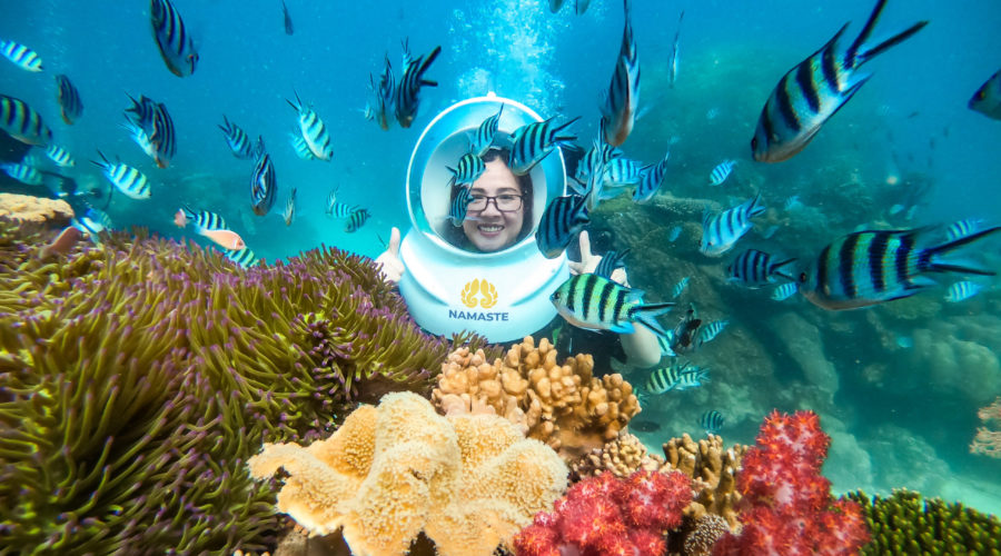 Du khách trải nghiệm đi bộ dưới đáy biển ngắm san hô rực rỡ