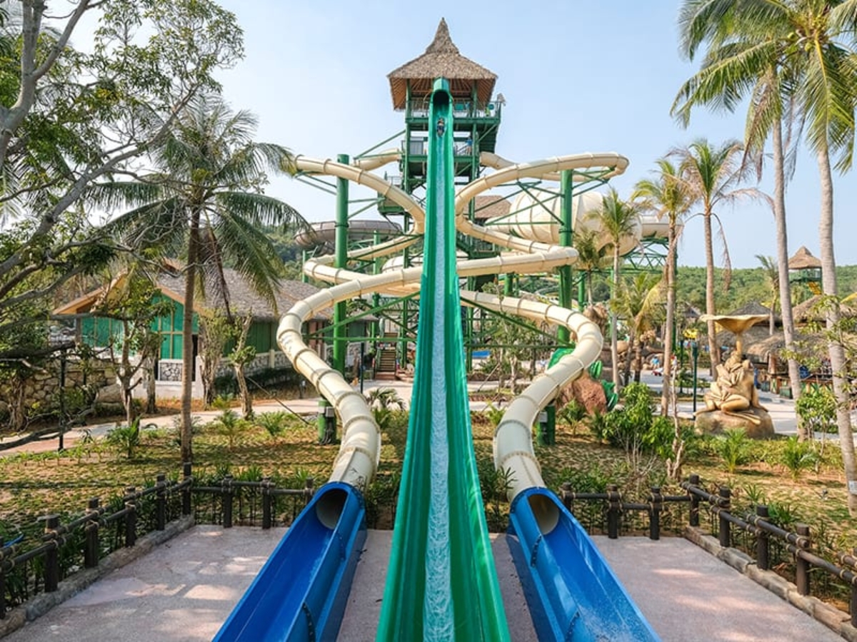 Trò chơi xà vương giao chiến – Queen Cobra/King Cobra