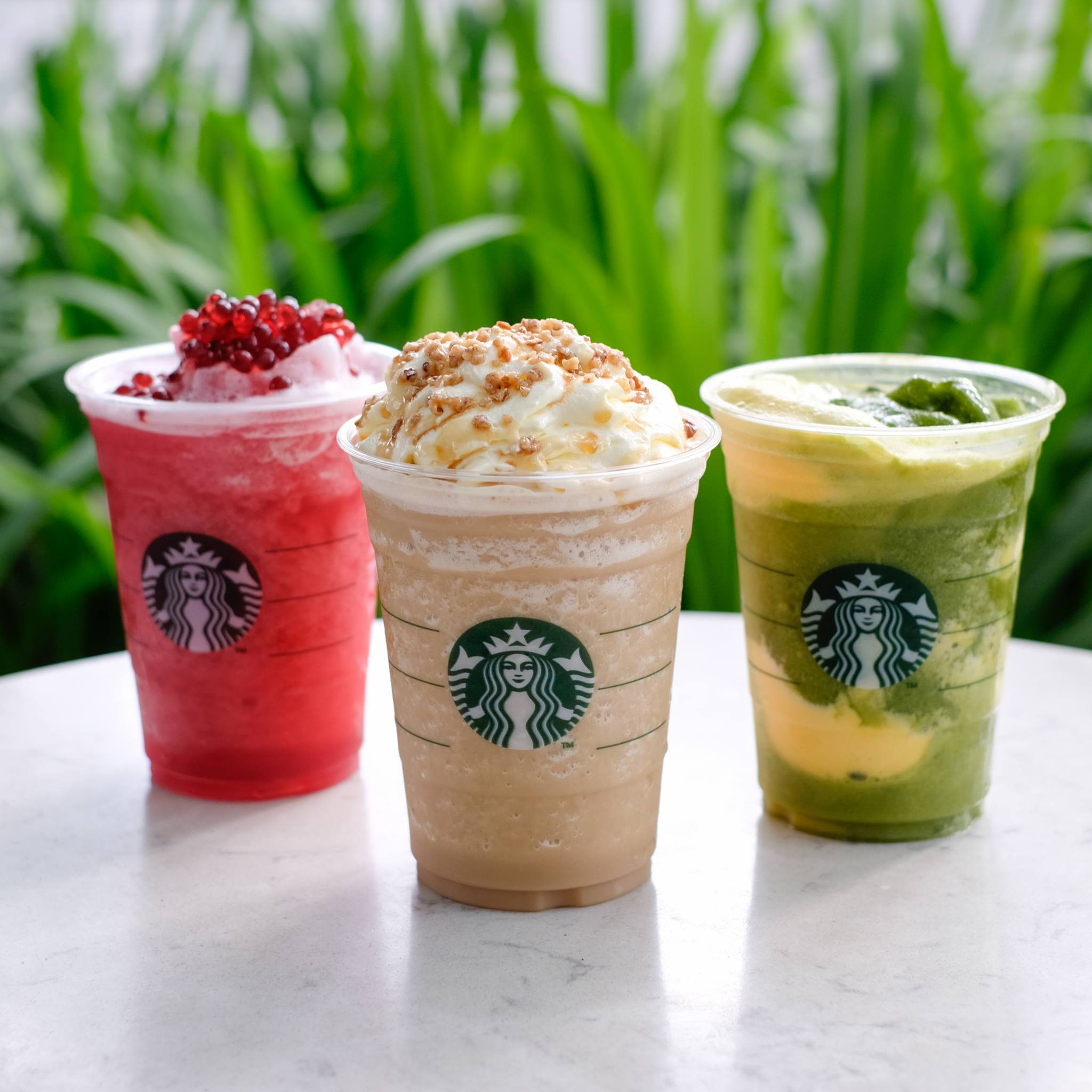 Các món đồ uống tại Starbucks quen thuộc với khẩu vị của nhiều thực khách. (Nguồn: Sưu tầm)