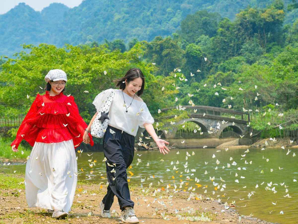 Vườn quốc gia Cúc Phương Ninh Bình đẹp nhất vào tháng 4 đến tháng 5 với mùa bướm ngợp trời. (Nguồn: Sưu tầm)
