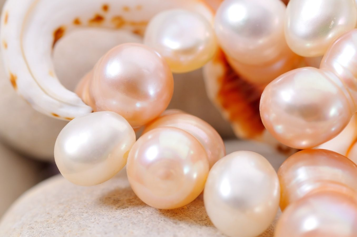 Những viên ngọc trai mang sắc trắng tinh khôi, kết tinh từ tinh túy của đại dương bao la.