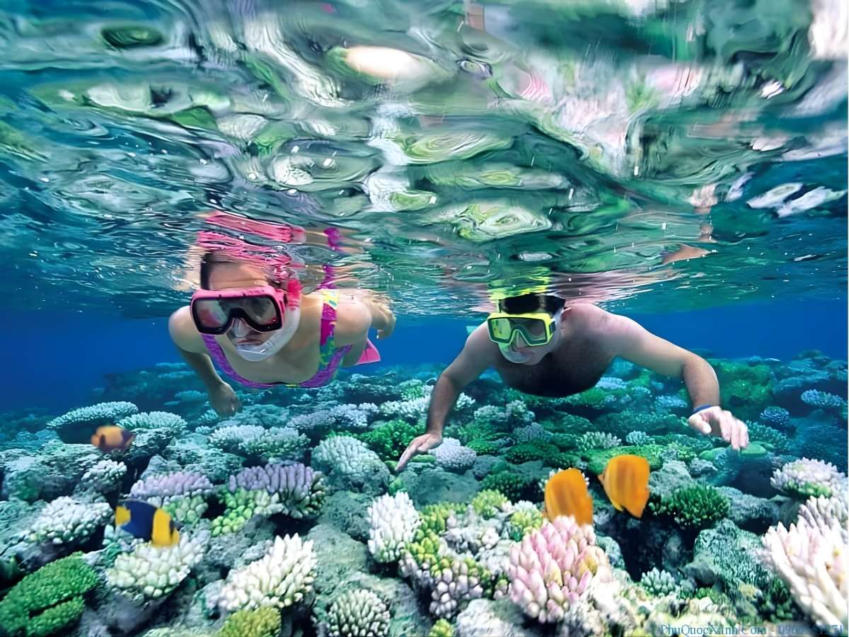 Du khách sử dụng kính lặn snorkeling ngắm san hô mặt nước