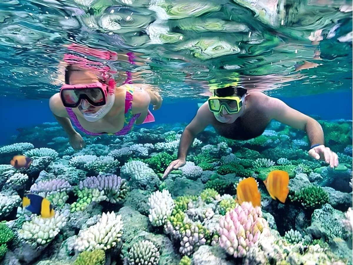 Du khách lặn ngắm san hô tại Hòn Thơm với làn nước trong xanh