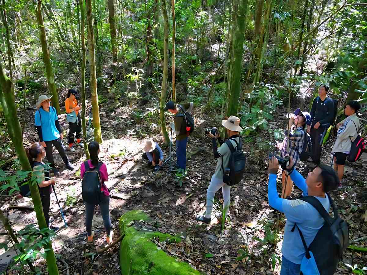 Du khách trải nghiệm hoạt động trekking rừng nguyên sinh Phú Quốc vào mùa khô