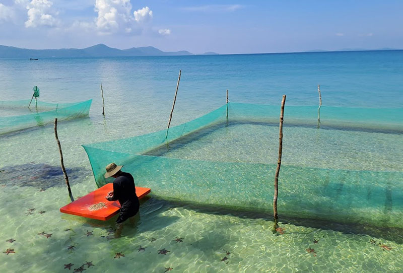 Câu cá là một trong những hoạt động thú vị khi ghé thăm làng chài Rạch Vẹm