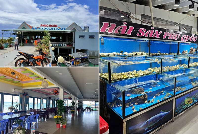 Nhà hàng Phúc Ngân nằm sát cạnh biển và có những bể cá nhỏ cho thực khách lựa chọn nguyên liệu trực tiếp