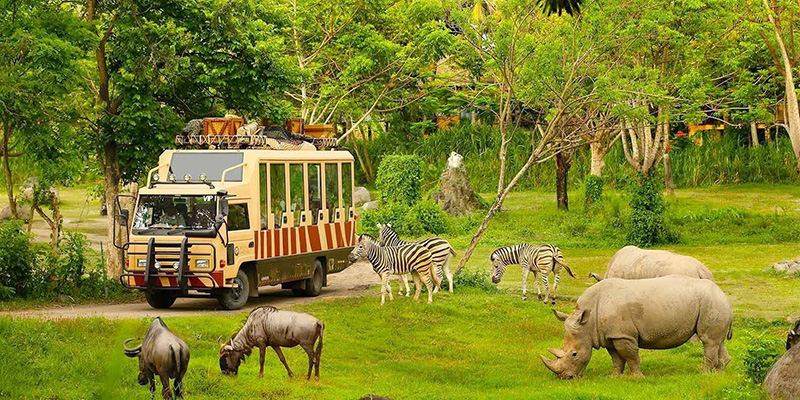 Vinpearl Safari