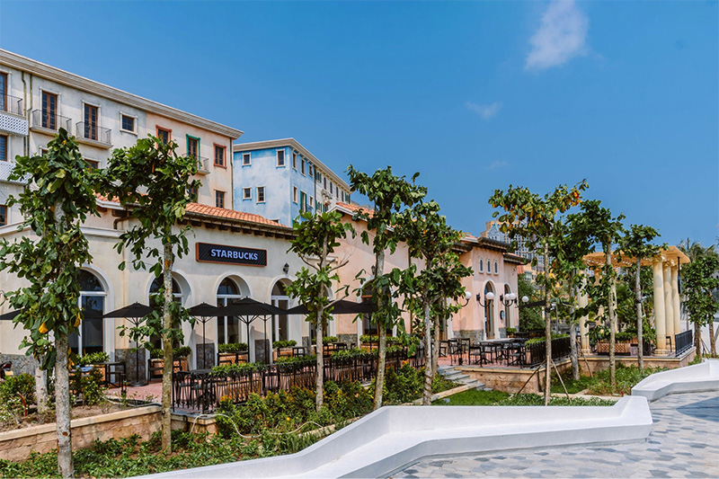 View trực biển Starbucks