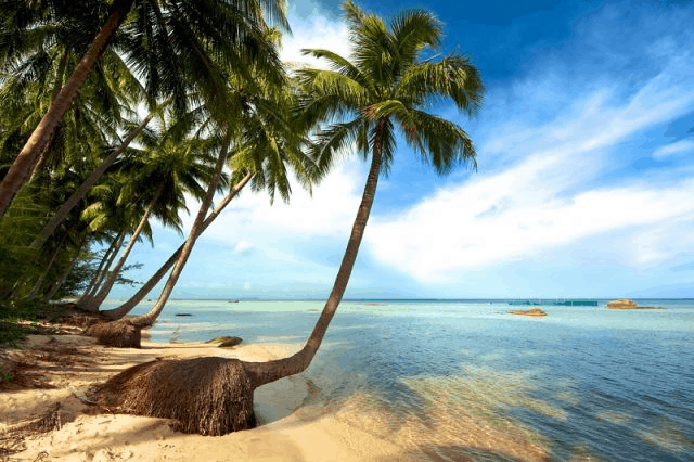 Bai Sao Beach - one of the most beautiful beaches in Pearl island.