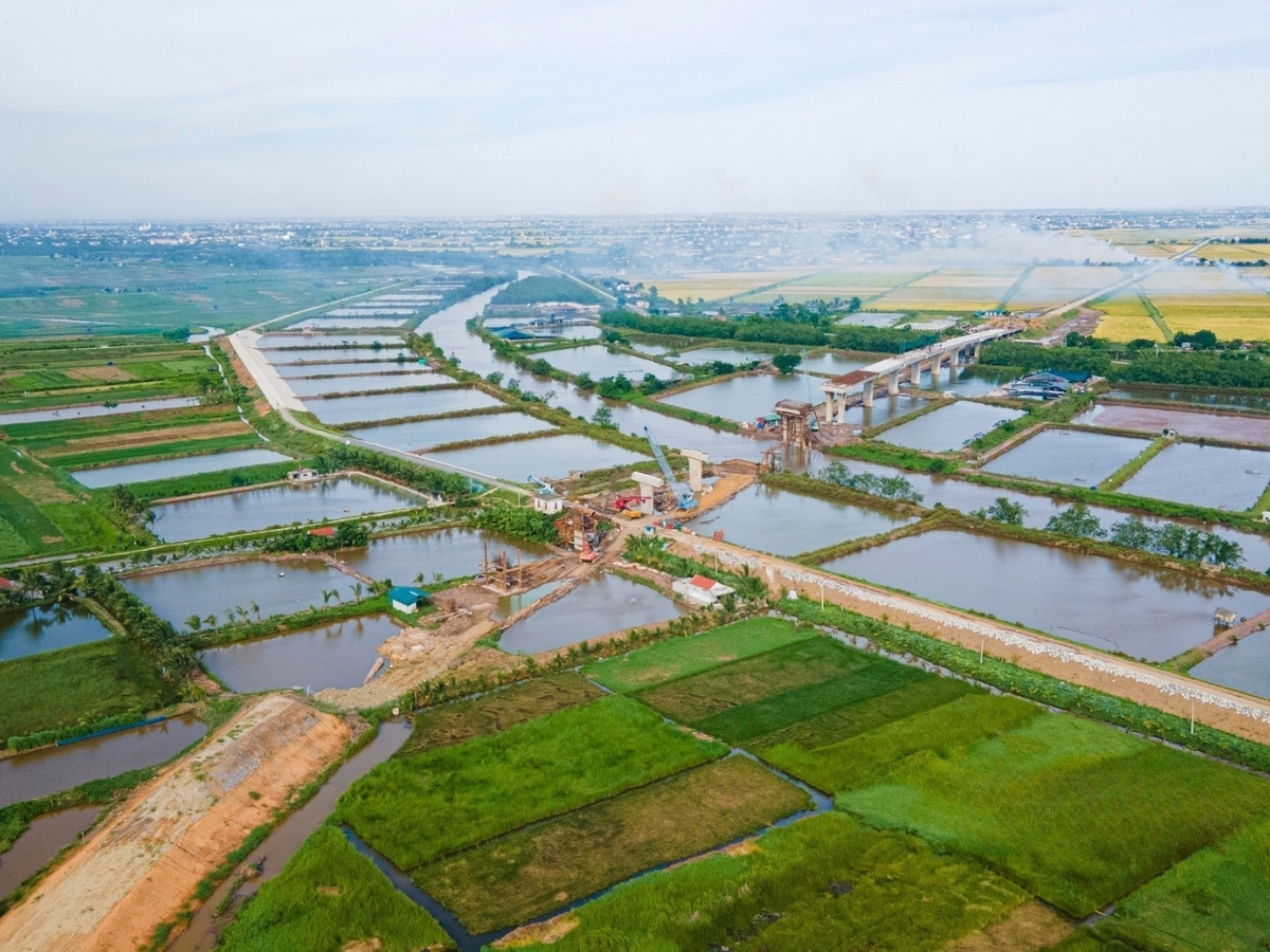 Xã Nga Sơn với địa lý phù hợp để cá nhệch sinh sôi. 