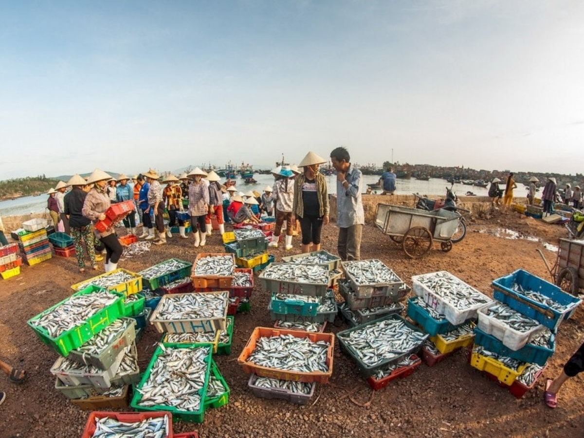 Chợ cá Nghi Sơn tấp nập vào buổi sáng sớm.