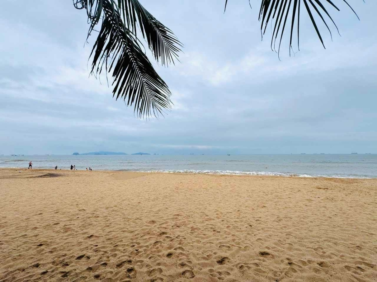 Bãi Đông Thanh Hóa phù hợp ghé thăm quanh năm.