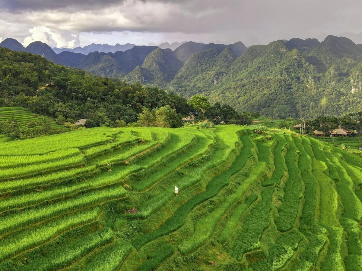 Khung cảnh ruộng bậc thang đặc trưng tại Pù Luông.