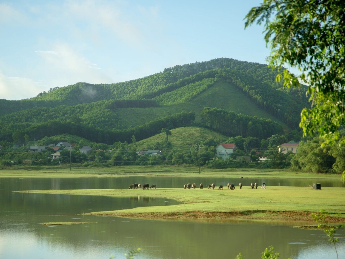 Không gian yên bình tại hồ Sông Mực.