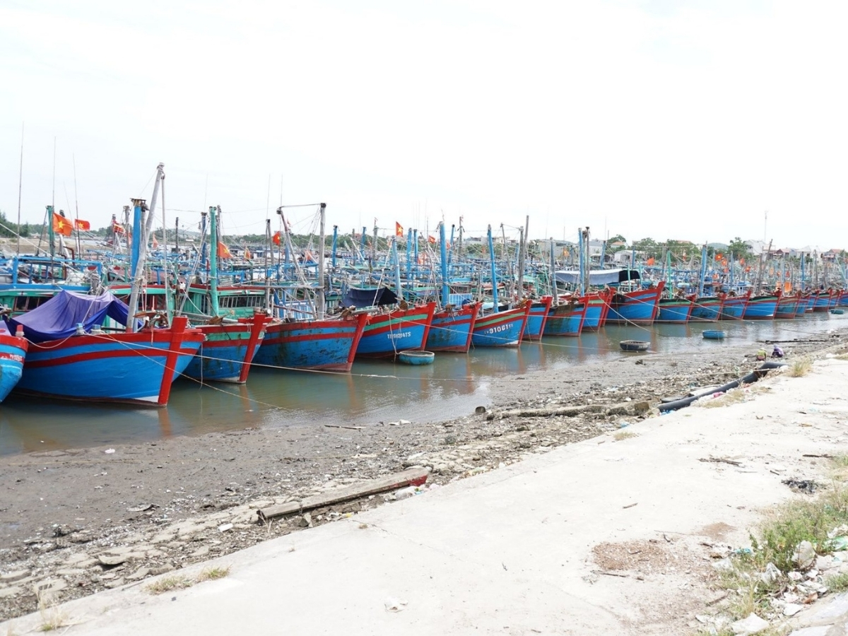 Cuộc sống của người dân tại Hải Thanh gắn liền với nghề biển mộc mạc. 