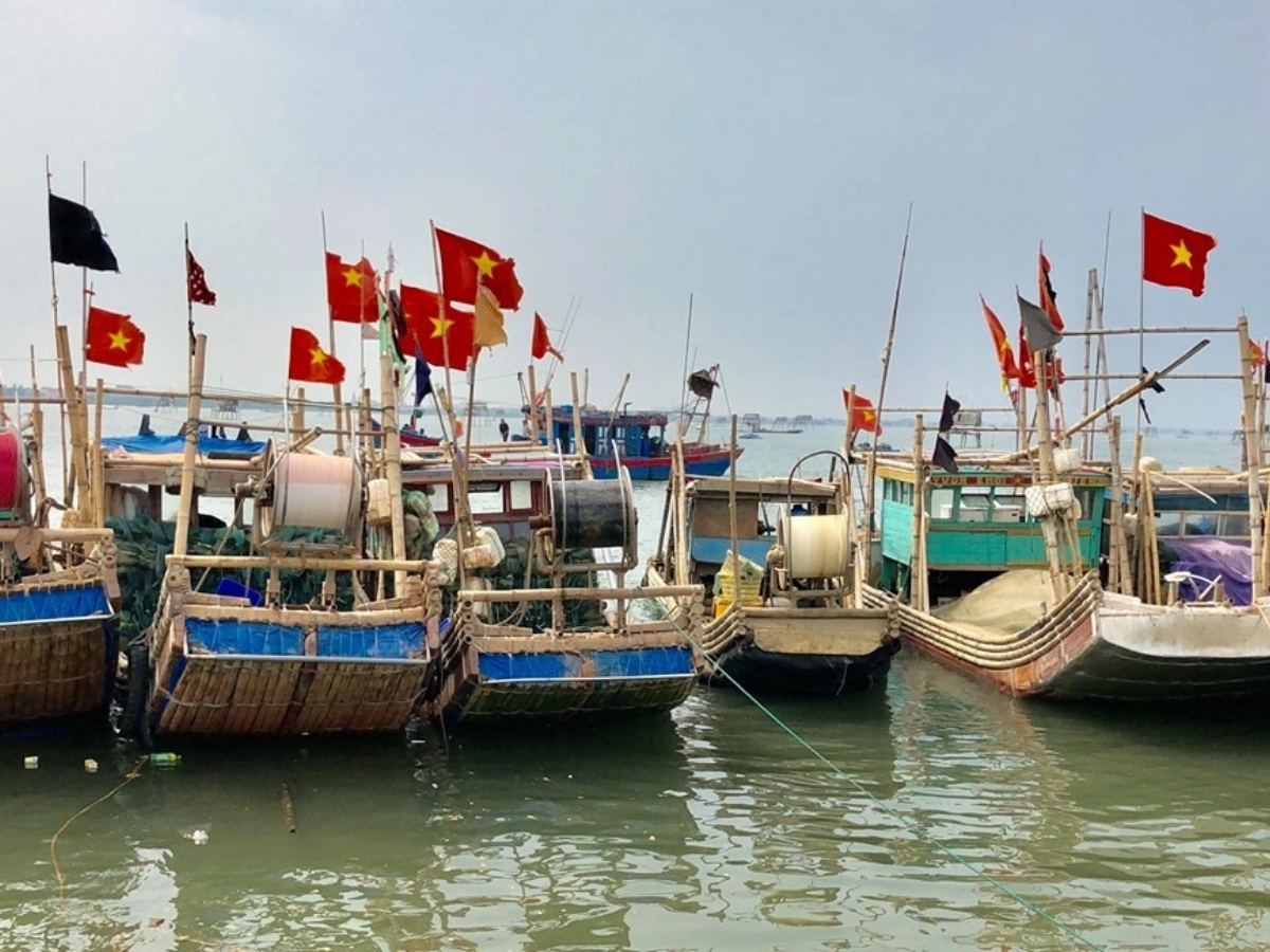 Cảng cá Lạch Trường là địa điểm du khách nên ghé thăm khi đến với biển Hoằng Trường.