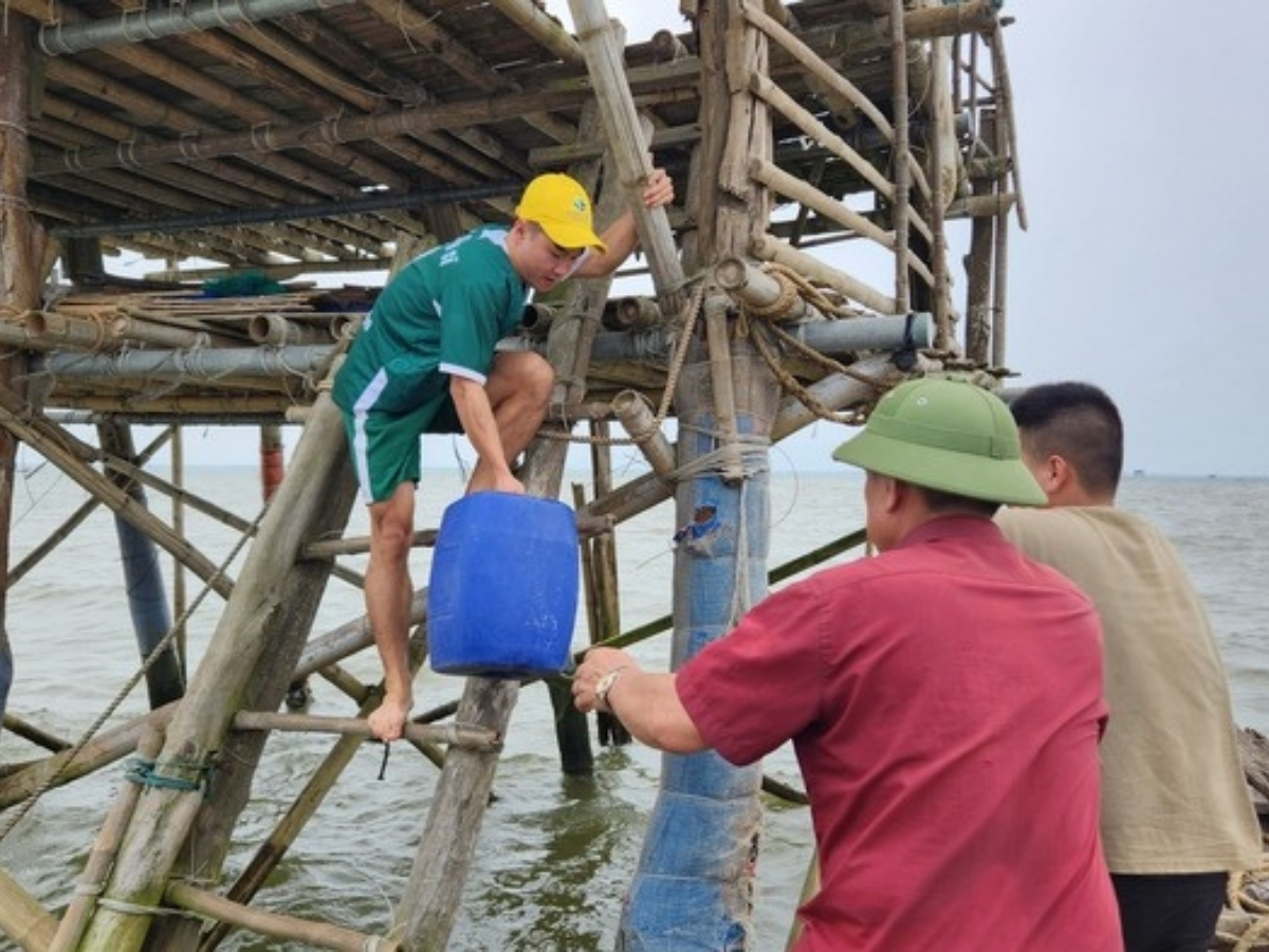 Người dân nuôi ngao cần căn thời gian nước rút để tiếp cận đảo.