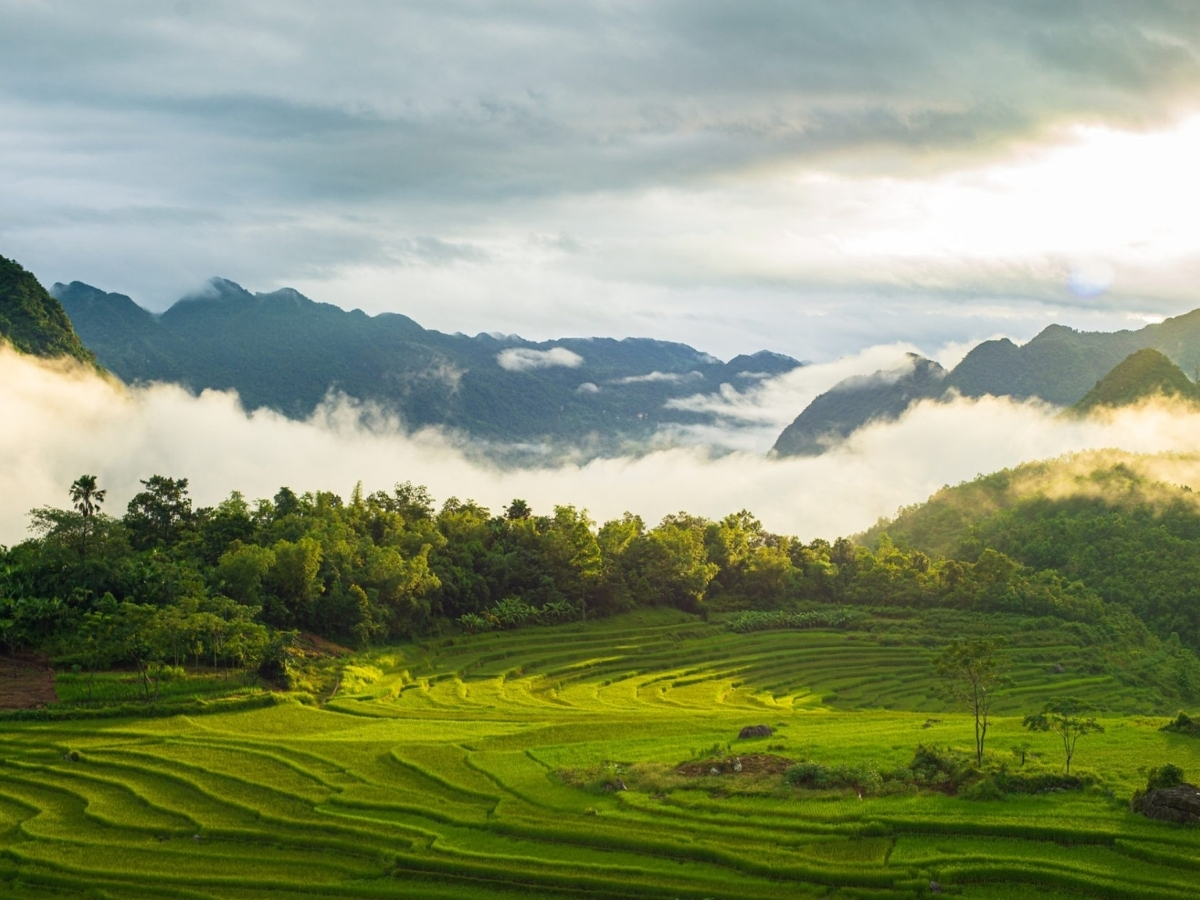 Cảnh sắc ruộng bậc thang tại Pù Luông. 