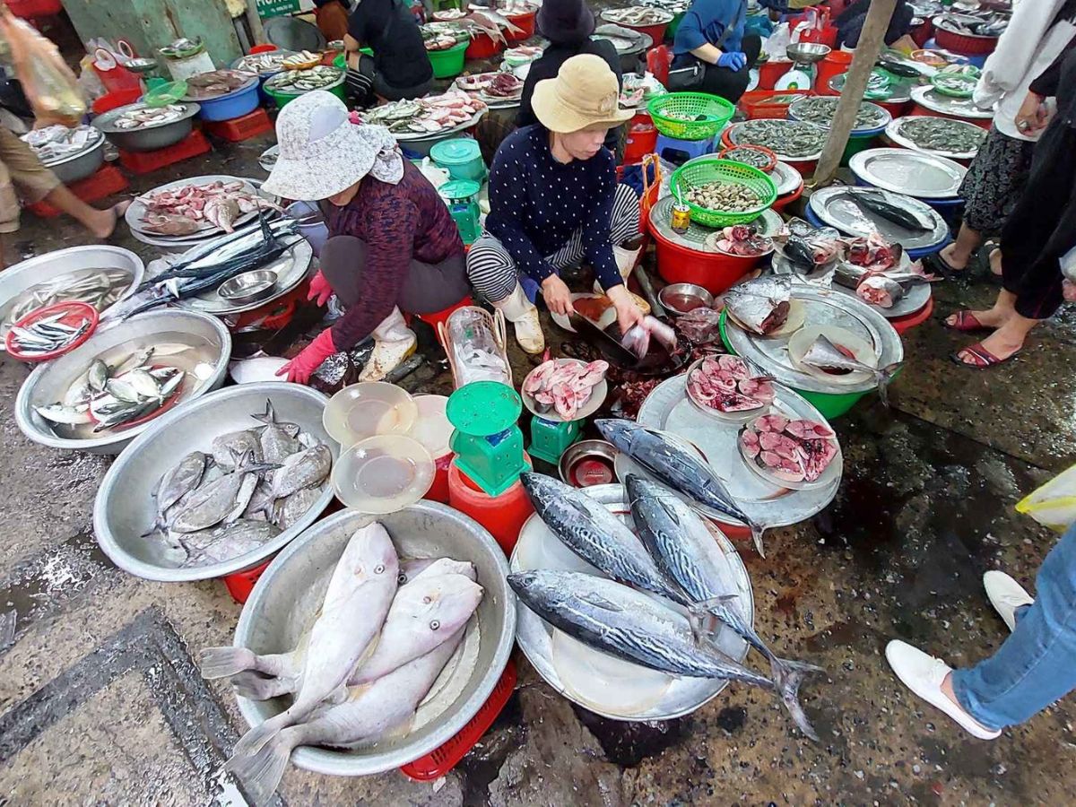 Chợ hải sản Thanh Hóa thường có nhiều loại cá và hải sản tươi rói.