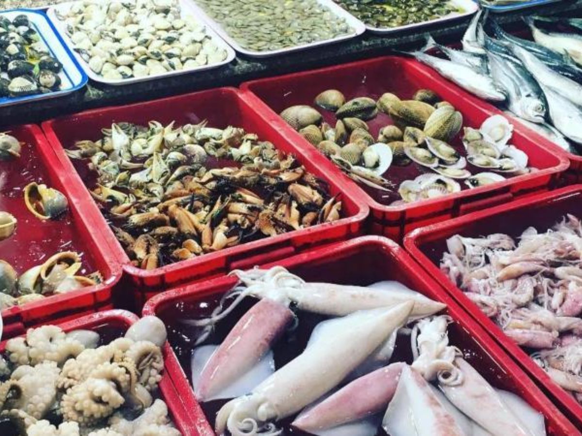 Chợ hải sản Hải Tiến có nhiều loại đặc sản được khai thác từ sớm: cá chim, thu, mực.