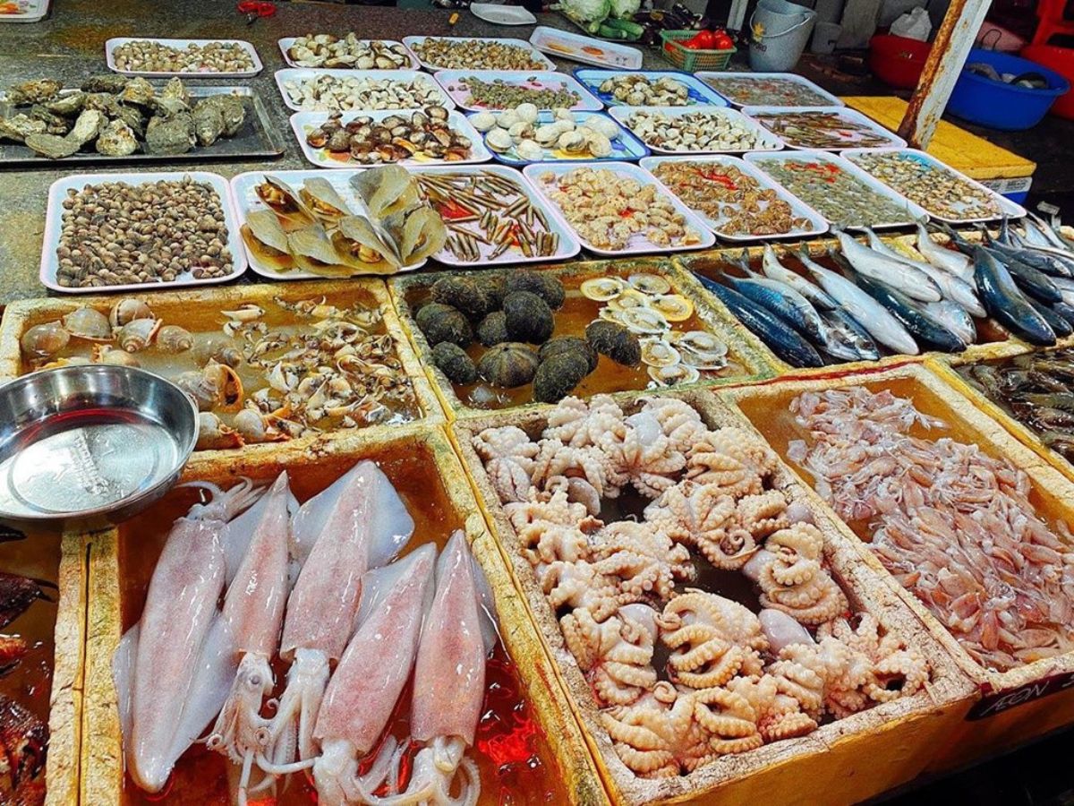 Chợ hải sản Lạch Hới cung cấp đa dạng các loại hải sản tươi ngon từ biển khơi.