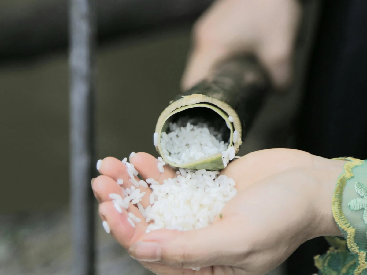 Người Thái ở Pù Luông thường ưu tiên sử dụng nếp nương vừa mới thu hoạch, hạt to, mẩy, dậy mùi thơm.